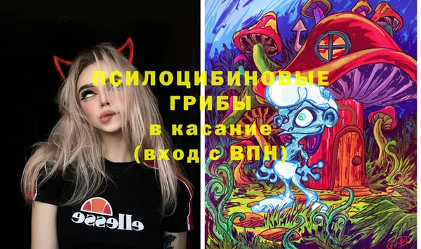 дурь Алексеевка